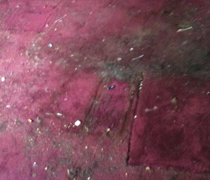 dirty carpet with debris